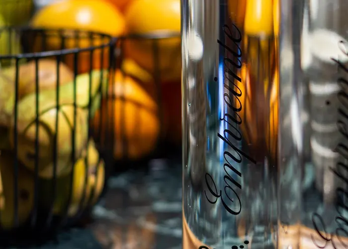 호텔 & Napoleon 4*